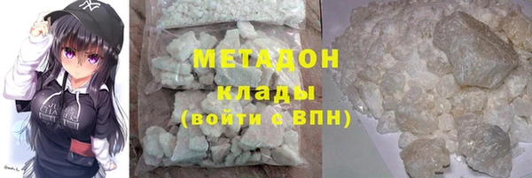 прущие грибы Богородицк