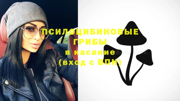 молекула духа Киренск