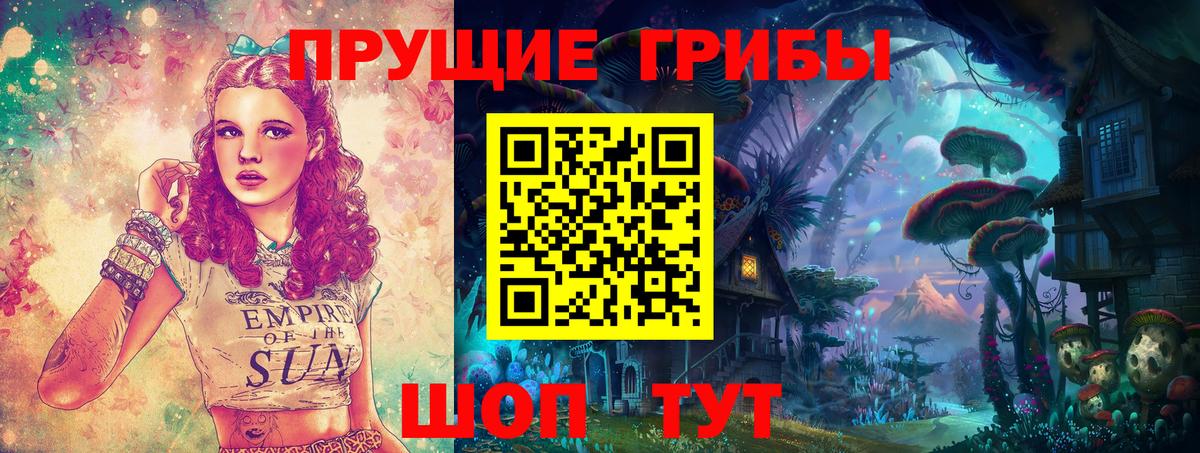 Псилоцибиновые грибы Psilocybe  Вход с VPN  Дагестанские Огни 